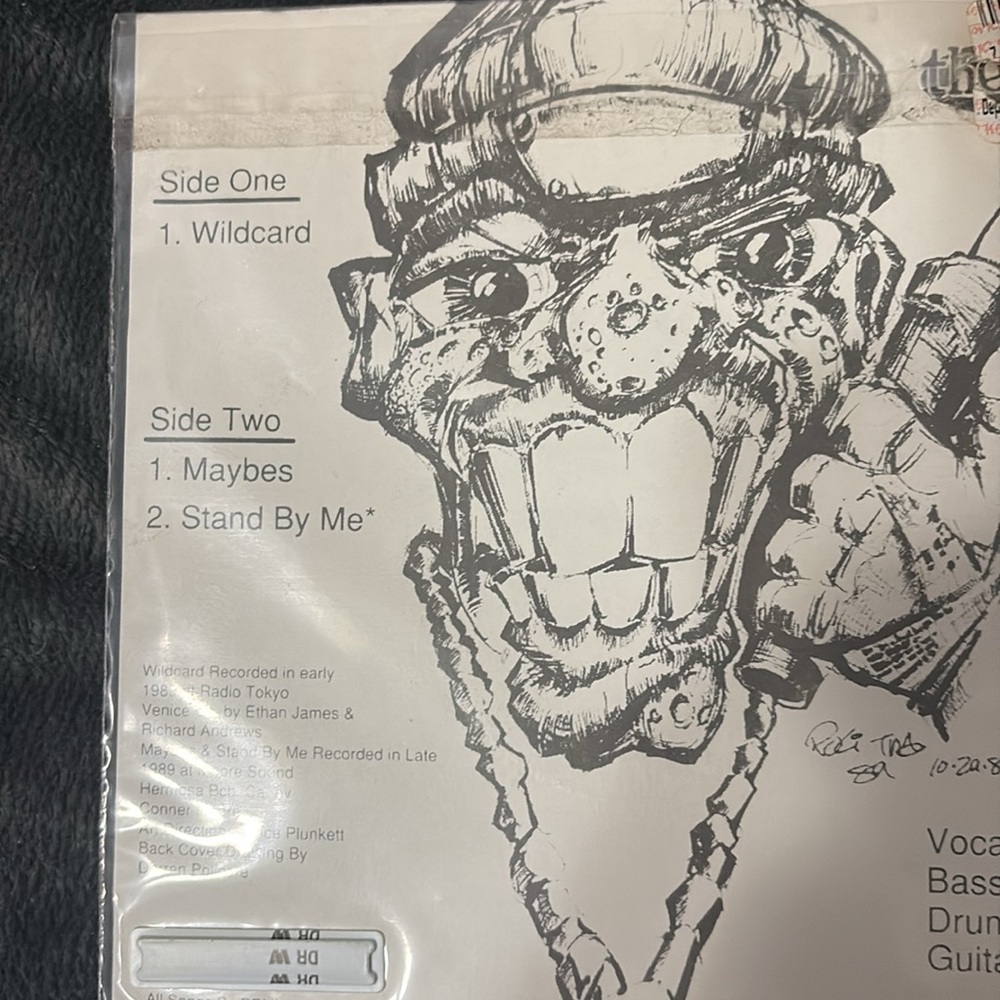 Original Punk Rock vinyl records( mini ) - Picture 2 of 4
